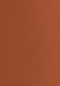 Brown, smooth surface with a slightly textured finish; rectangular shape; uniform color with no visible patterns or hardware details.