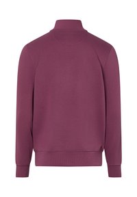 Violettes Sweatshirt mit Mockkragen, langen Ärmeln und einem gerippten Saum. Glatte Textur mit einem klaren Rückendesign, ohne sichtbare Grafiken oder Muster.