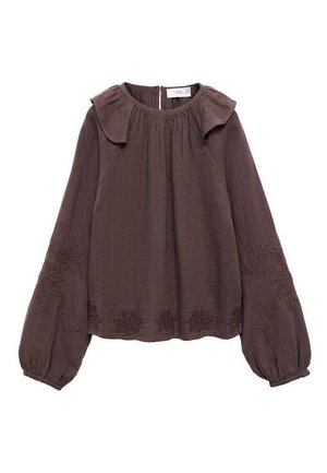 Blusa marrone con texture, maniche lunghe a sbuffo, scollatura plissettata e ricami decorativi lungo le maniche e l'orlo. Chiusura a occhiello sul retro.