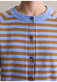 Gestreepte cardigan in lichtblauw en bruin, met een ronde halslijn, zes knopen en een zachte gebreide textuur.