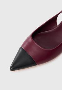 Ballerina in pelle bordeaux con punta affusolata e cappuccio in pelle nera a contrasto su sfondo bianco.