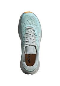 Adidas Terrex SOULSTRIDE FLOW TRAIL - Scarpe da corsa su strada - seflaq crywht wonsil