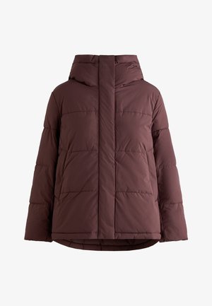 Burgundy puffer jacket with a hood, featuring a quilted design, front zipper, and slightly oversized silhouette. Smooth, soft fabric texture.