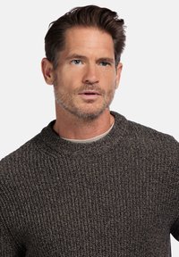 Gebreide trui in donkerbruin, met een ronde hals en een textuurpatroon. Gekocht over een lichtgrijze basislaag. Zachte stof met geribde manchetten.