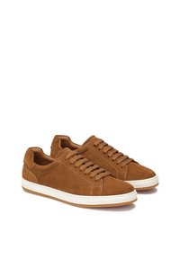 Kazar Sneakers - brown