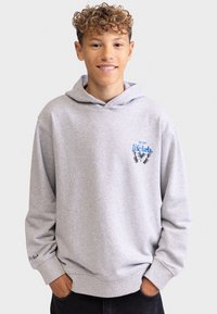 Felpa grigia realizzata in morbido tessuto, con una grafica frontale che presenta testo blu e nero. Include un cappuccio con cordino e una vestibilità rilassata, con polsini a coste.