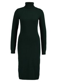 Robe en tricot à manches longues de couleur vert foncé, avec un col roulé haut et une silhouette ajustée, atteignant sous le genou. Texture douce.