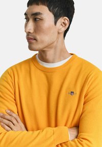 Oranger Rundhals-Pullover aus weichem Material. Verfügt über ein kleines gesticktes Logo auf der Brust sowie gerippte Bündchen und einen gerippten Kragen.