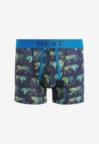 Next PATTERN FOUR PACK - Boxerkalsong - ombre animal