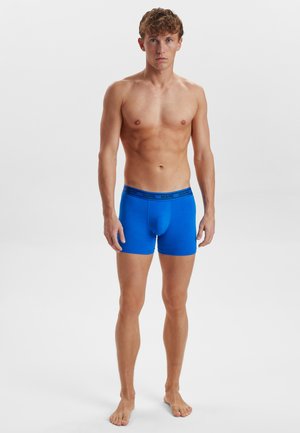 Dovre 3 PACK - Trunks - multi coloured