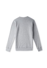 Sudadera gris con mangas largas, cuello redondo, puños y cinturilla de canalé. Tejido suave con una textura lisa, diseño minimalista.