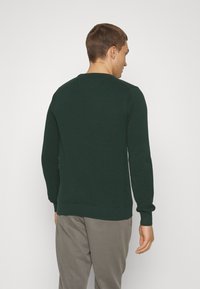 GANT C-NECK - Trui - tartan green