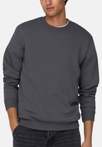 Schwefelgrauer Sweatshirt aus weichem Material, Rundhalsausschnitt, gerippte Bündchen und Saum, lockere Passform, minimalistischer Stil, keine sichtbaren Logos oder Muster.