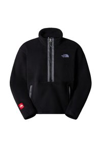 The North Face TNF FLEESKI - Fleece jumper - tnf black
