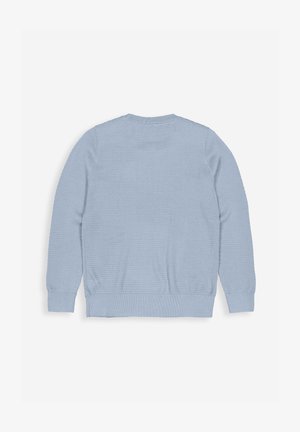 Lichtblauwe trui, gebreide textuur, lange mouwen, ronde halslijn, ribgebreide manchetten en zoom. Achteraanzicht benadrukt het patroon en de kleur uniformiteit.