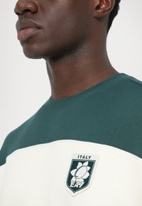Close-up osebe, ki nosi zeleno-bel majico s simbolom "Italy EA7", ki vsebuje stilizirano cvetlico in ovalno obliko.