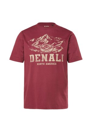 Rød bomuld t-shirt med et bjerggrafik og teksten "DENALI NORTH AMERICA" i creme, rund hals, korte ærmer og afslappet pasform.