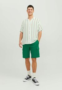 Kortærmet, hvid skjorte med grønne og sorte lodrette striber, parret med grønne cargo shorts med en sidelomme. Sorte sneakers og sokker.