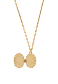 Auksinis medalionas su plona grandinėle, turintis ovalo formos dizainą. Priekinė dalis yra tekstūruota ir atsidaro, atveriant dvi tuščias ertmes.