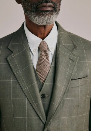 Mann mit grauem Bart, trägt einen grünen karierten Anzug, ein weißes Hemd mit Knöpfen und eine beige gemusterte Krawatte, ab Kopf bis zur Brust beschnitten.