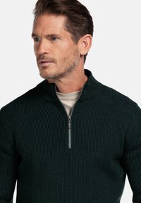 Donkergroene geribde trui met een hoge kraag en een halve rits. Gemaakt van textuurstof, met lange mouwen en een slim-fit ontwerp.