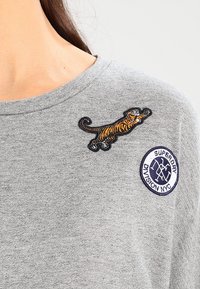 Superdry & Co Sudadera - grey