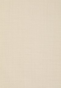 Gabbiano LONGSLEEVE - Marškiniai - sand