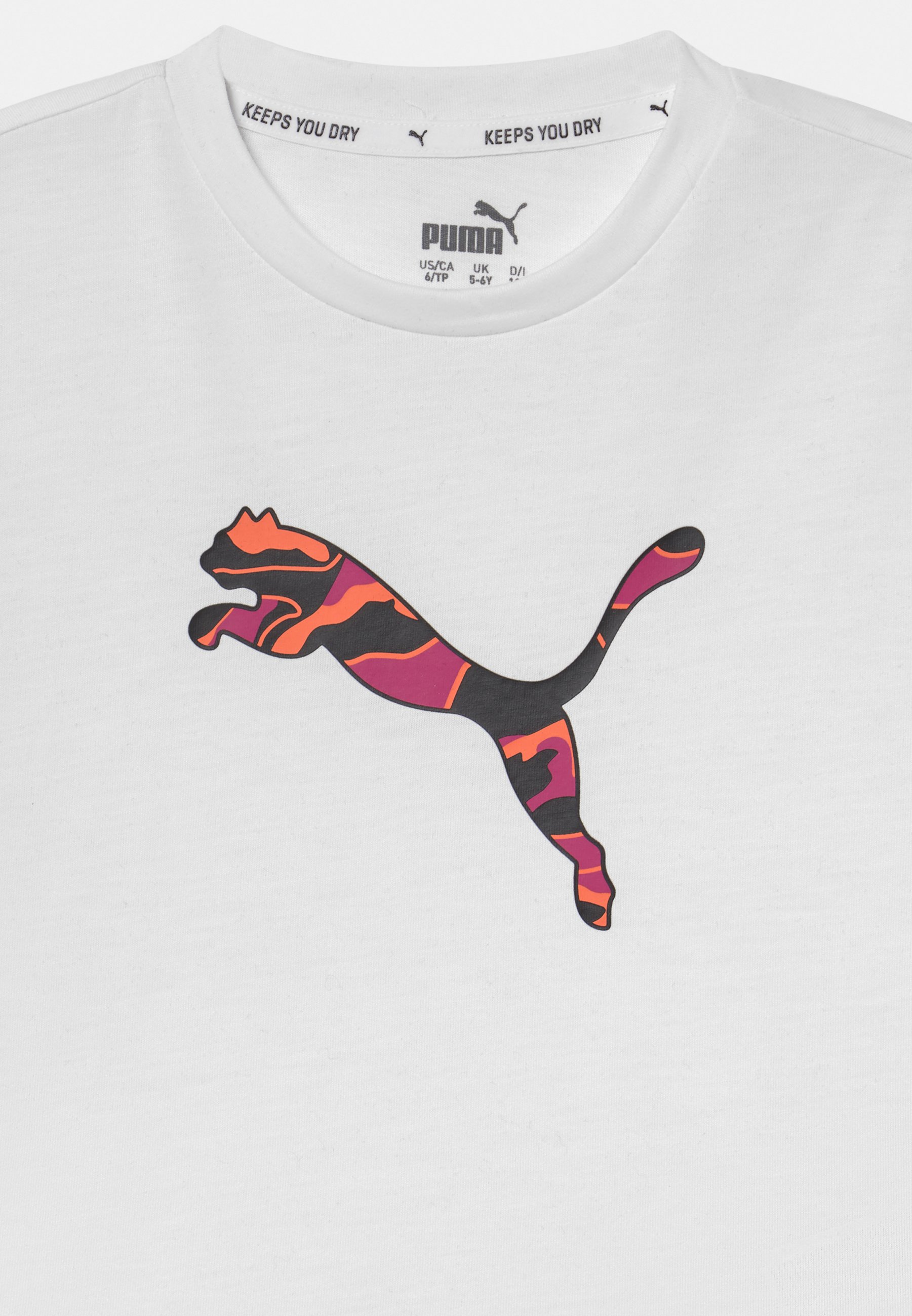 rocco the raccoon puma