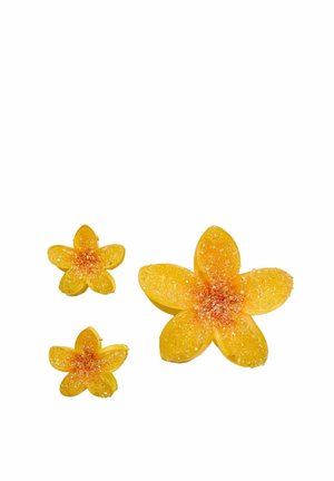 PACK OF 3 FLORAL - Haaraccessoire - yellow