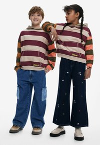 Desigual WITH COMBINED STRIPES - Mikina s kapucňou - multi coloured