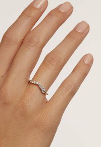 PDPAOLA Ringe - silberfarben