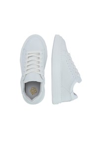 Apple of Eden SAMIR - Sneakers basse - weiß