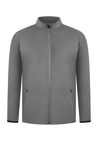 PERFORMANCE FULL ZIP DELIAN - Giacca sportiva - grau