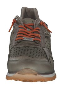 Cetti Sneaker low - nature tin wasabi