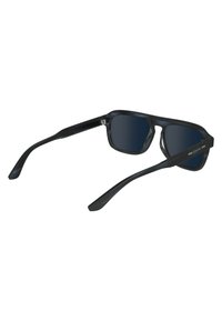 Calvin Klein Occhiali da sole - striped blue