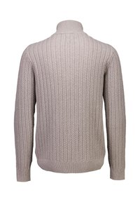 Hellgrauer gestrickter Pullover mit hohem Kragen, ausgestattet mit einer vertikalen Ripptextur und taillierten Bündchen. Rückansicht, minimalistisches Design.