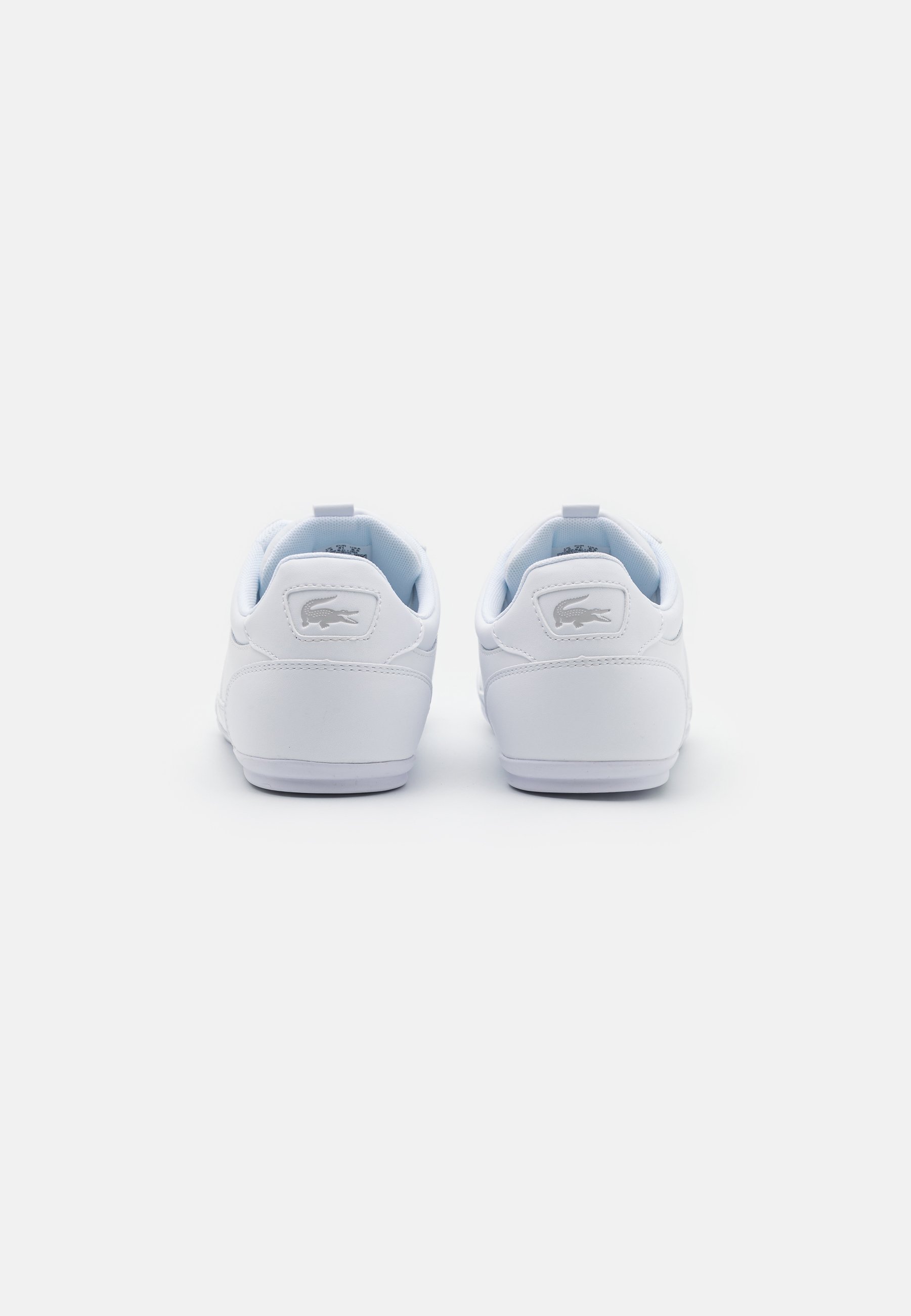 lacoste chaymon zalando