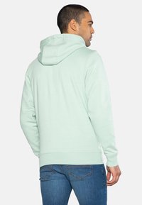 Threadbare CLEMENTINE - Jersey con capucha - sage