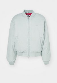 FLIGHT - Chaquetas bomber - grey