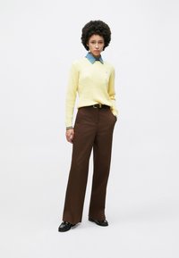 Pull jaune en tricot avec une chemise à col bleu en dessous, associé à un pantalon marron taille haute et des chaussures noires. Détails de design simples présents.
