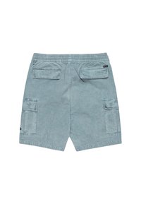 Lichtblauwe cargoshorts van katoen, met twee achterzakken, twee zijzakken en een elastische tailleband. Gelaagd stofoppervlak.