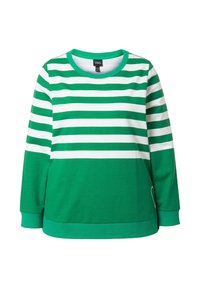 Groen-wit gestreepte sweatshirt met een ronde hals en lange mouwen. Heeft een effen groene onderste deel en een klein logo detail.
