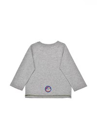 Graues Langarmshirt mit Raglanärmeln, rundem Halsausschnitt und einem Logo-Patch nahe dem Saum. Weicher Stoff mit subtilem Muster.