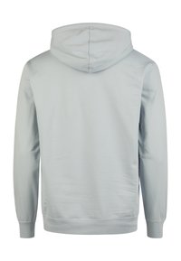 Light gray hoodie with a drawstring hood, long sleeves, and ribbed cuffs. Smooth texture and minimalist design with no embellishments.
