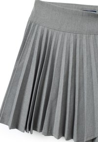 Grijze geplooide rok met een brede tailleband, gemaakt van zachte stof met een subtiele textuur en gelijkmatig verdeelde verticale plooien.