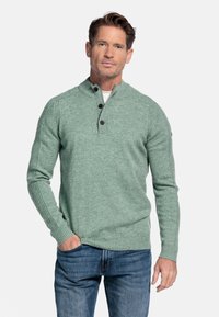Lichtgroene gebreide trui met een hoge kraag en drie donkere knopen. Geribbelde manchetten en zoom, gedragen over een witte t-shirt, gecombineerd met blauwe jeans.