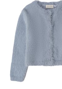 Jasnoniebieski, puszysty kardigan z okrągłym dekoltem, długimi rękawami i zapięciem na guziki. Posiada miękką teksturę i subtelny połysk.