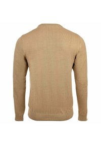 Maglione a maniche lunghe beige in maglia con polsini a coste, orlo e scollatura a girocollo, visto da dietro su uno sfondo bianco.