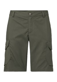 Olivgrüne Cargo-Shorts aus strapazierfähigem Material, mit zwei Seitentaschen, einem Knopfverschluss und gestickten Details.