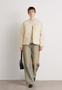Calvin Klein Jeans INSULATED LINER JACKET - Winterjas - fog